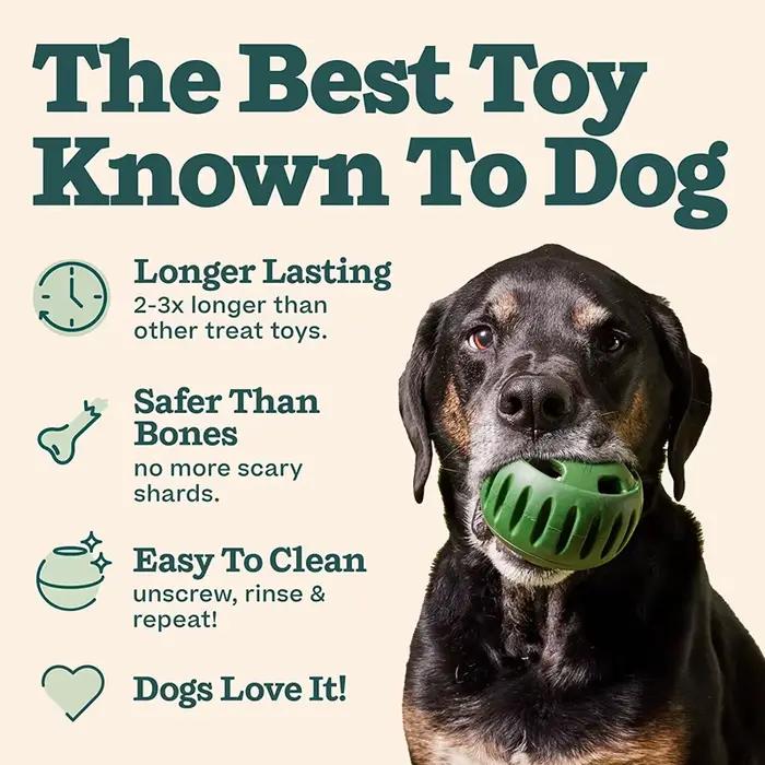 Jouets en Silicone pour chiens de compagnie