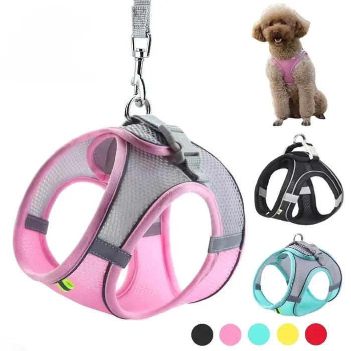 Ensemble de harnais pour chiot