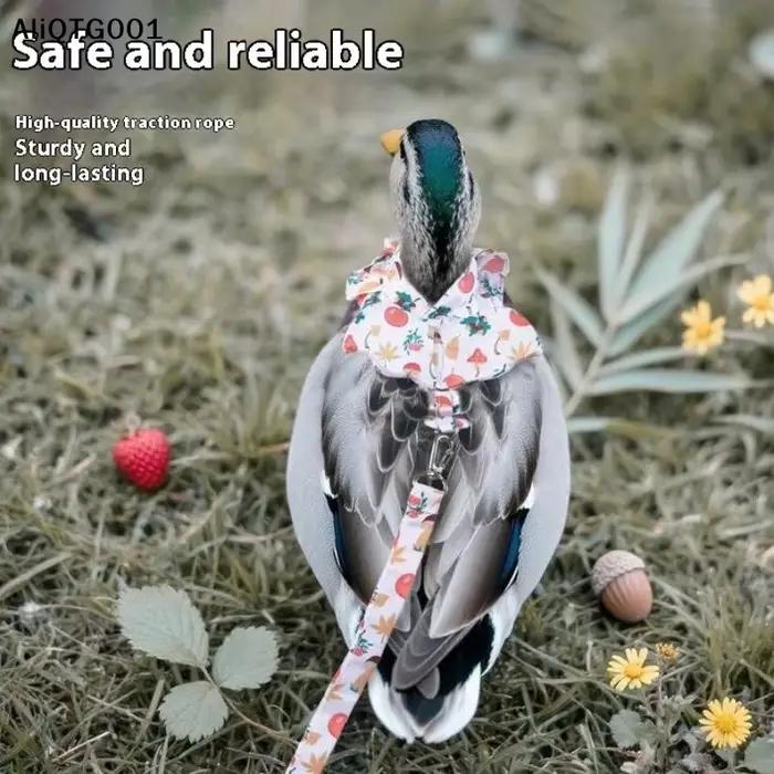 Ensemble de cordes de Traction pour animaux de compagnie