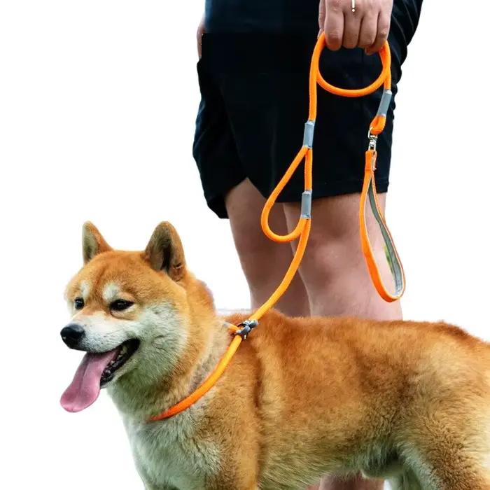 Laisse coordonnante pour collier de chien