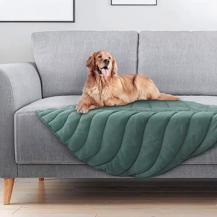 Couvertures pour chiens