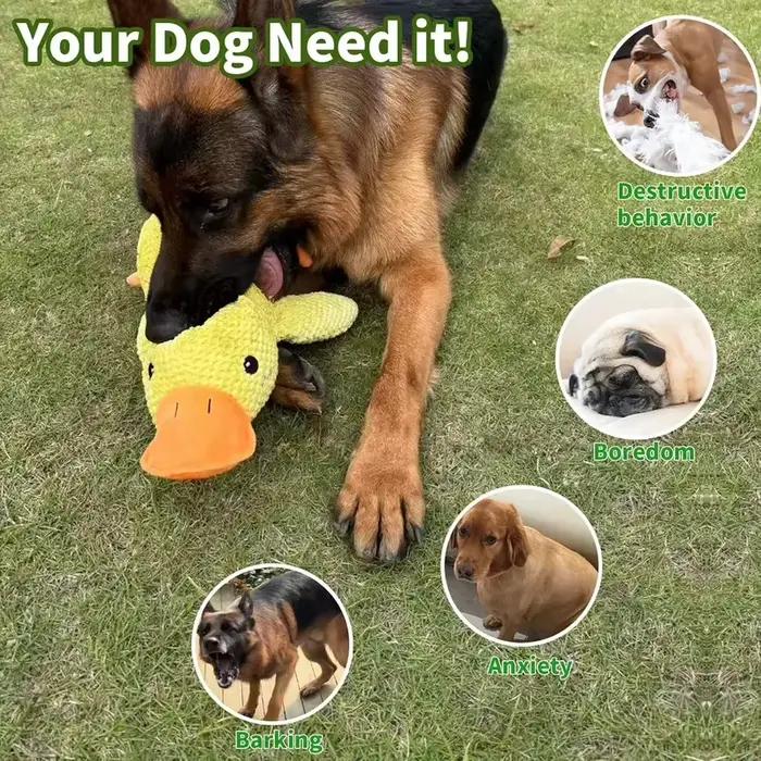 Jouets pour chiens 2026
