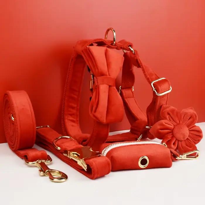 Ensemble collier et laisse pour chien en velours rouge