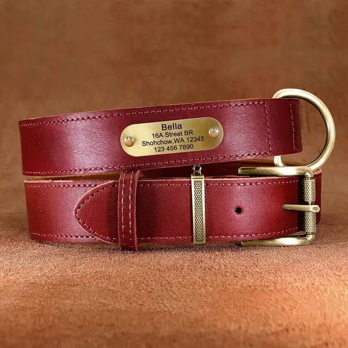 Collier de chien personnalisé en cuir véritable