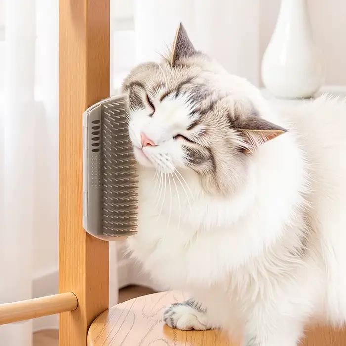 Jouets pour chat : griffoir