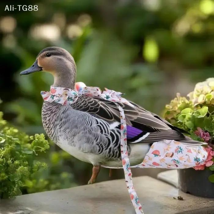 1/2 Pièces Ensemble de laisse de traction pour animaux de compagnie
