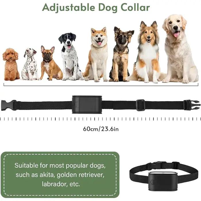Colliers de clôture électriques pour animaux de compagnie