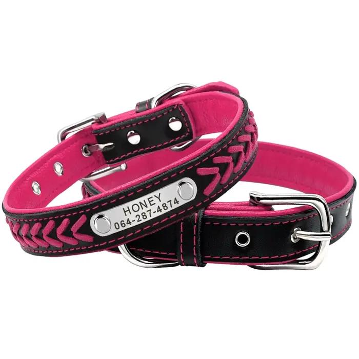 Collier pour chien personnalisé