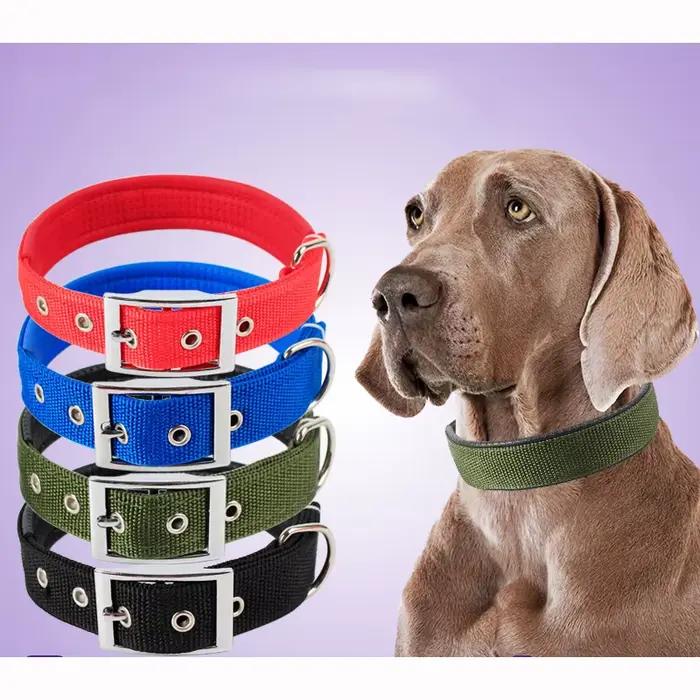 Colliers solides pour chiens