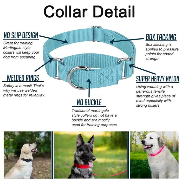 Collier Martingale pour chiens de petite à grande taille