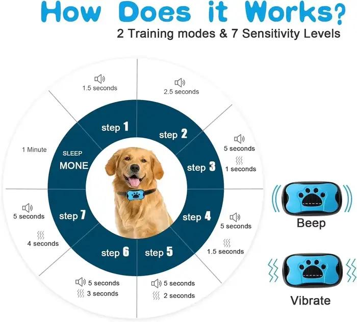 Collier de dressage anti-aboiement rechargeable pour chien