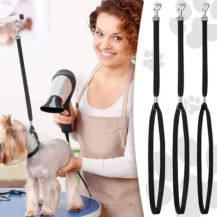 Laisse réglable et Durable pour chien