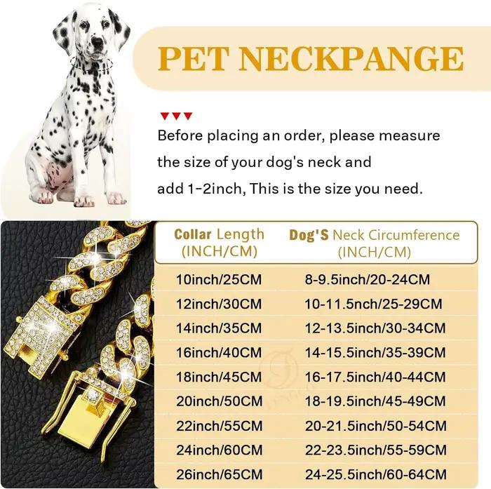 Collier en chaîne pour chien