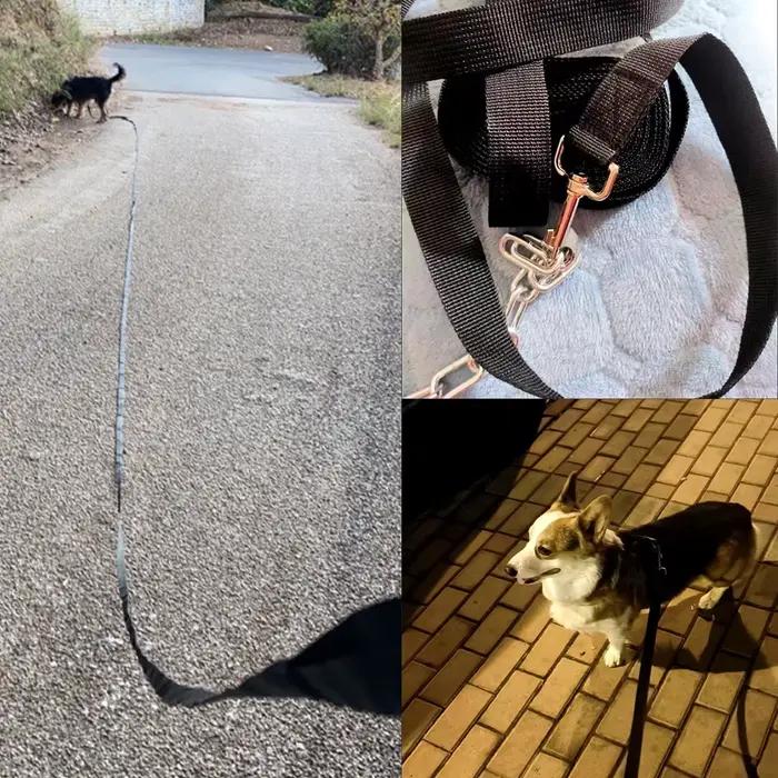 Laisse longue et solide pour chien