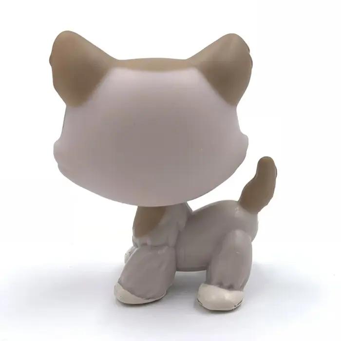 Jouet à tête de Bobble pour animal de compagnie