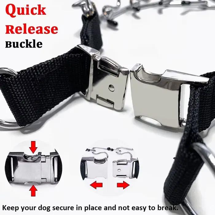 Collier pour chien pour entraînement anti-traction