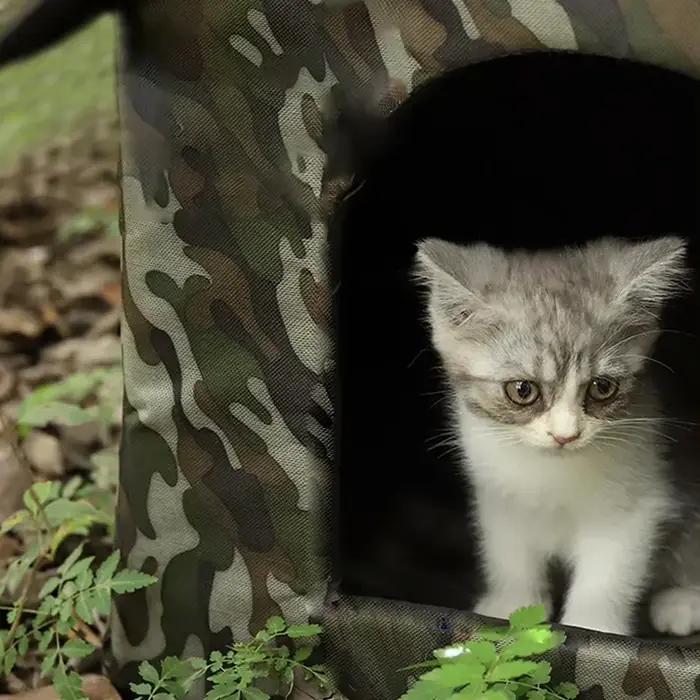 Tente de Sauvetage Étanche et Chaude pour Animaux de Petite et Moyenne Taille