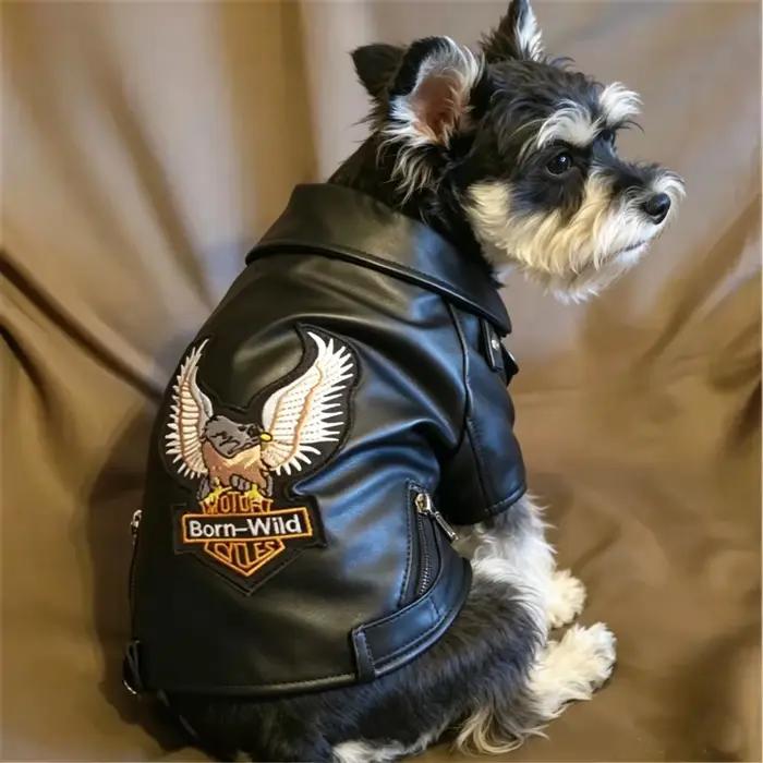 Manteau pour chien motif aigle magnifique