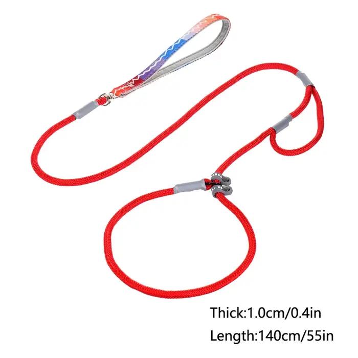 Laisse coordonnante pour collier de chien