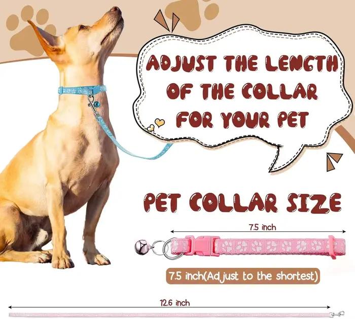 Lot de 24 colliers et laisses pour chien