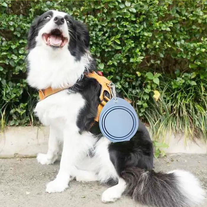 Double Filles Pliable en Silicone pour Chien et Chat