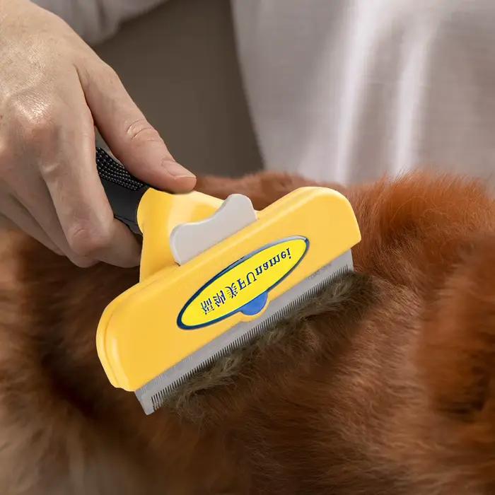 Brosse pour chien, brosse pour animaux de compagnie