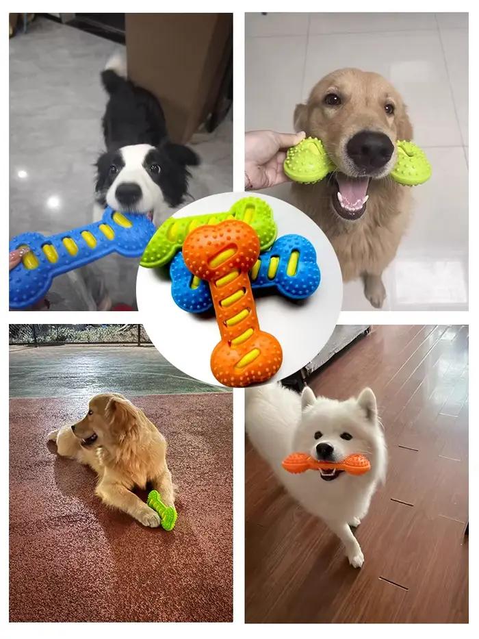 Jouets à mâcher couineurs pour chiens