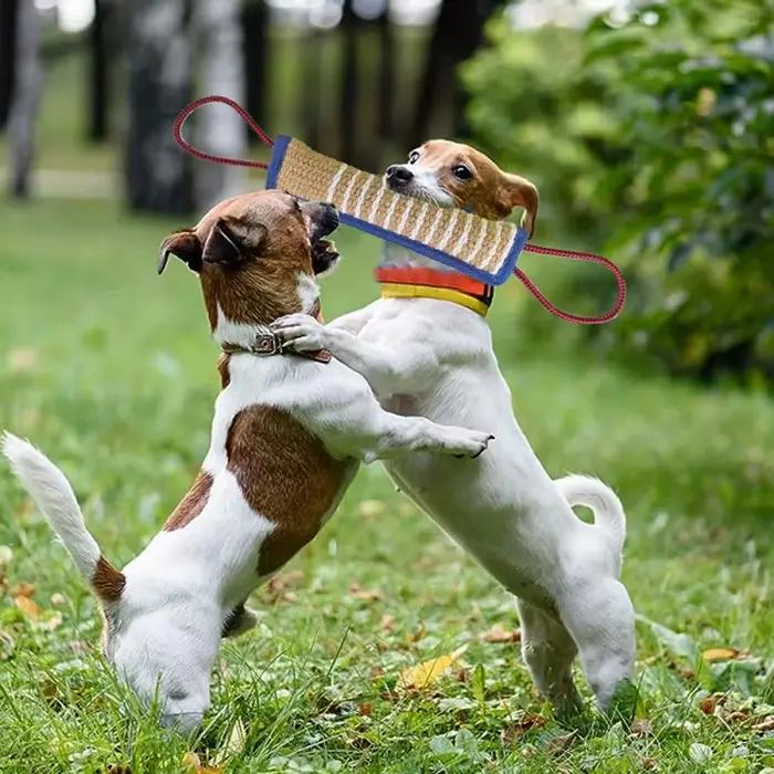 Bâtons à mâcher en jute robuste pour chien