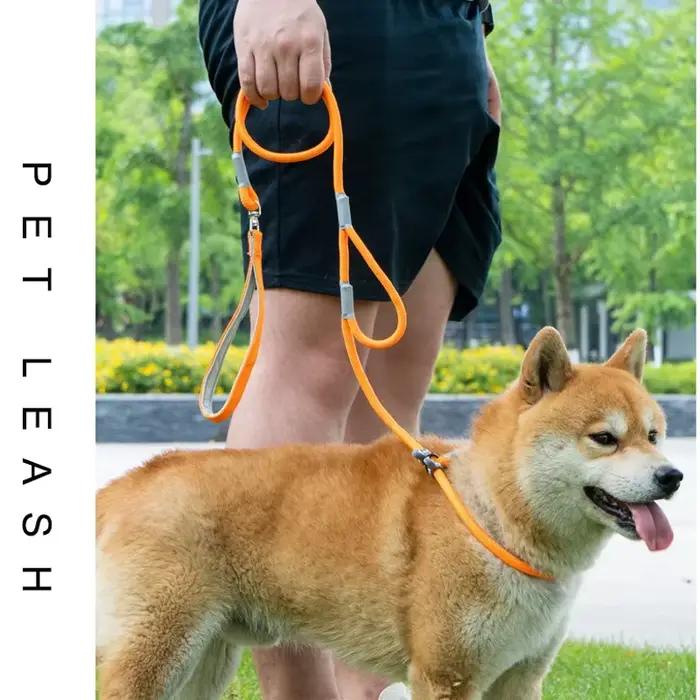 Laisse d'entraînement pour chiens sans traction