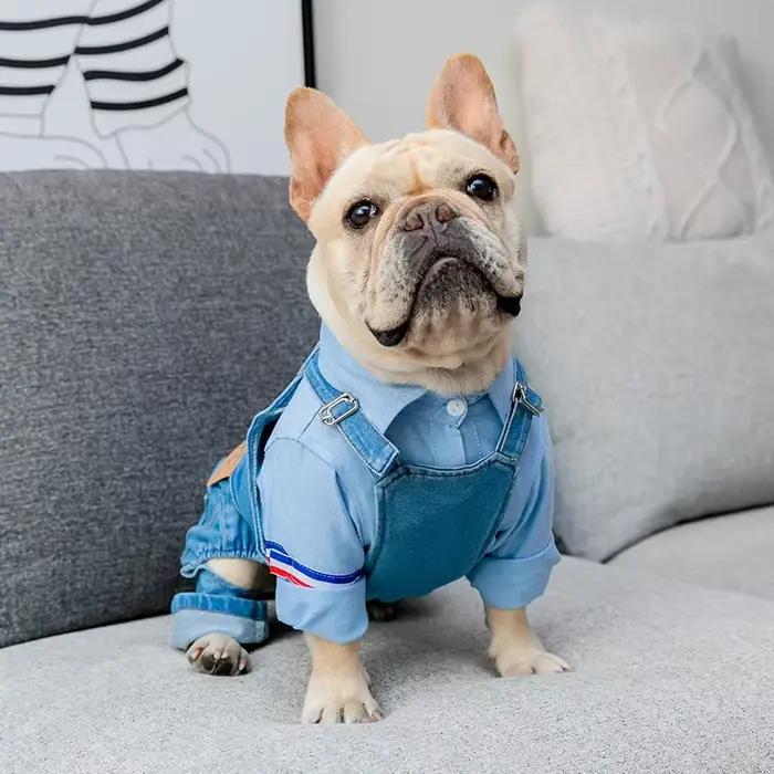 Denim chien manteau automne hiver animaux chiens vêtements gros