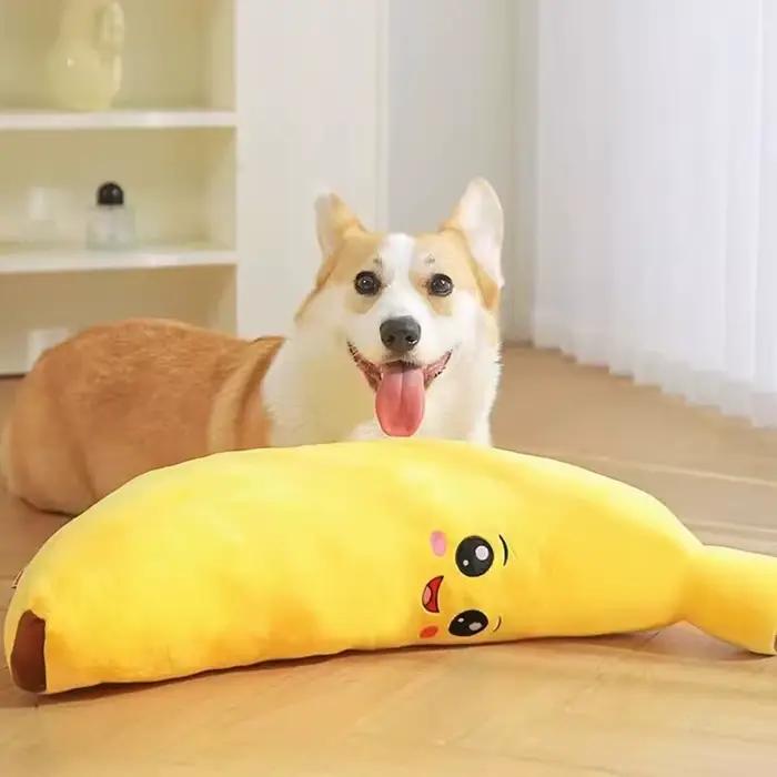 HOOPET Jouet de dentition interactif en peluche pour chiots : aide à la mâcher douce