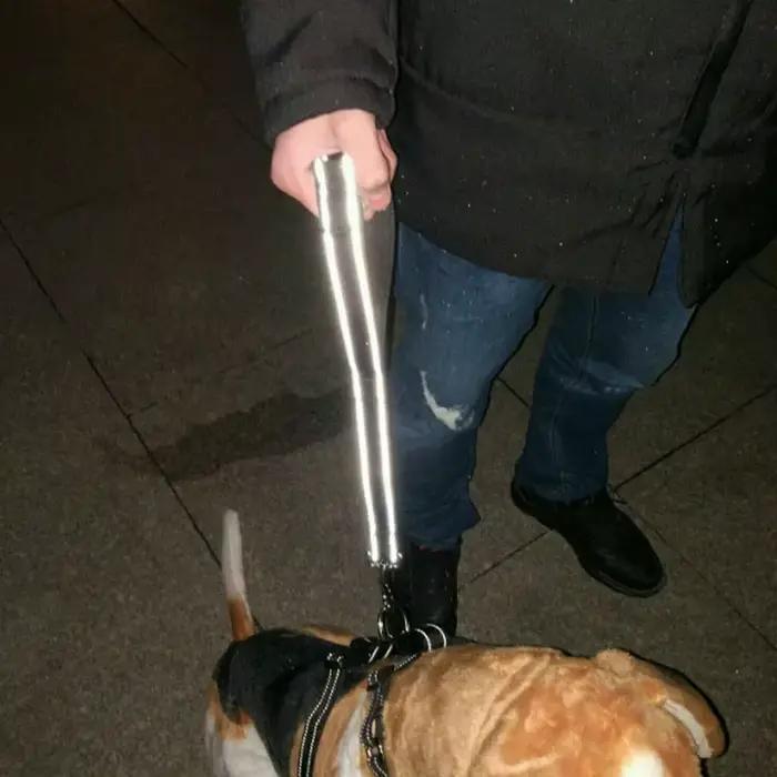 Laisses courtes pour chiens