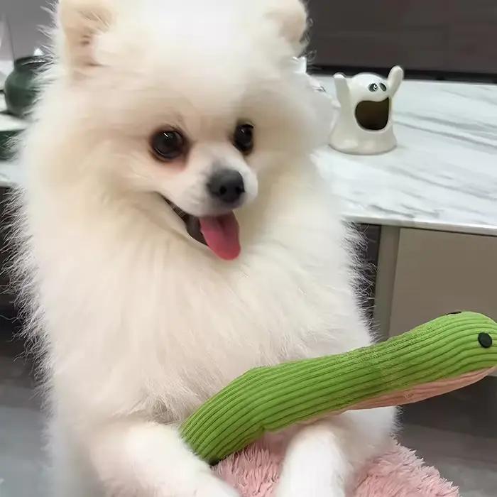 Jouet interactif serpent sonore pour chats et chiens