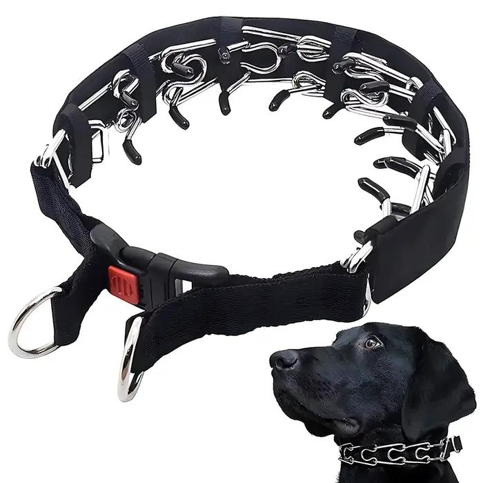 Collier d'entraînement à griffes pour chien