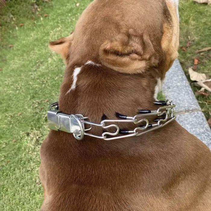 Collier de dressage pour chien efficace avec fonction anti-traction confortable