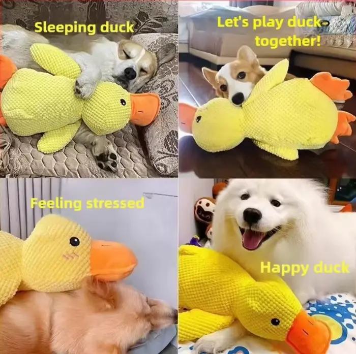 Jouet Canard Apaisant pour Chien