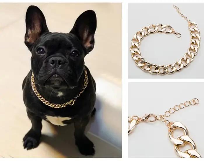 Collier chaîne pour chien pour petits et moyens chiens