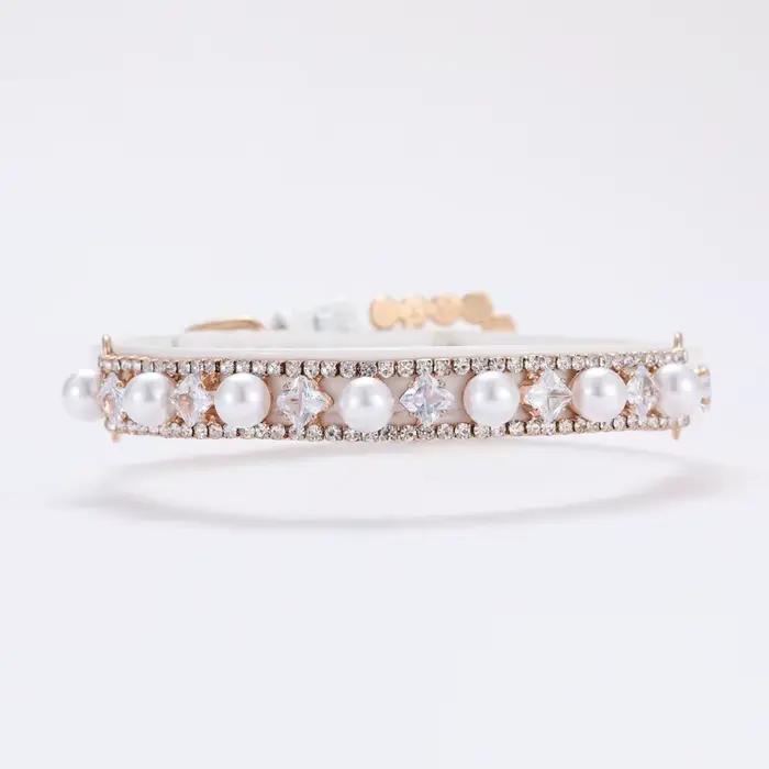 Collier de chien en strass