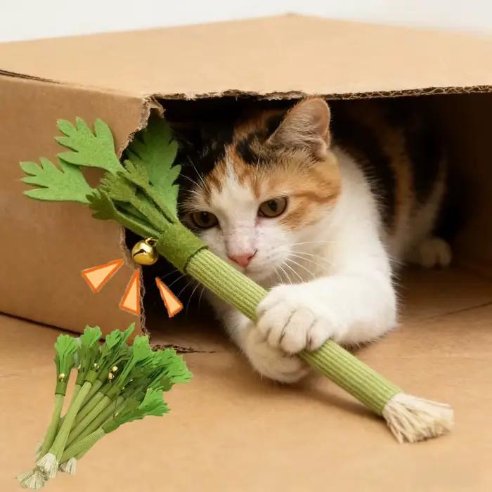 Jouets à mâcher pour chat