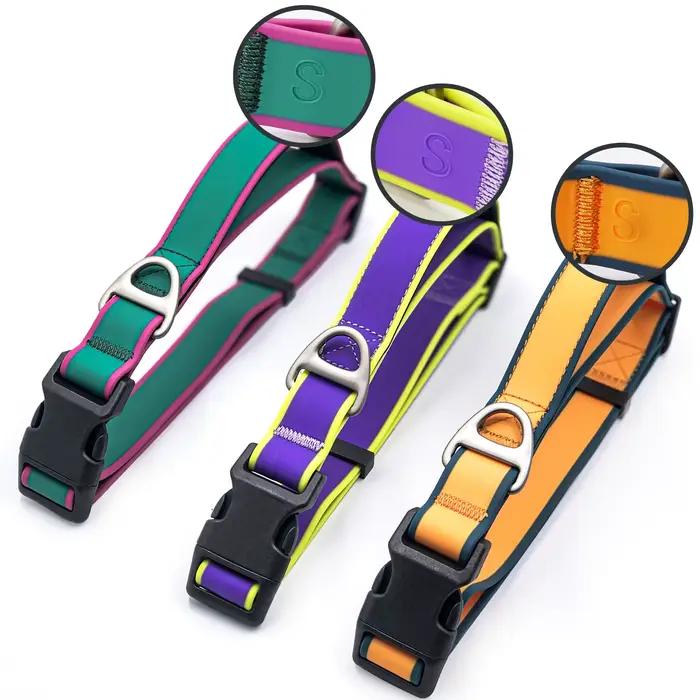 Collier d'entraînement pour chien