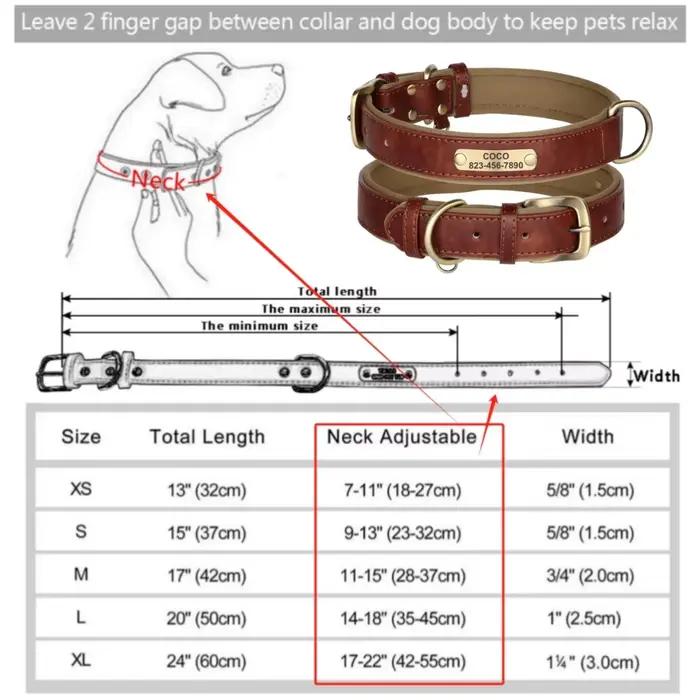 Collier de chien en cuir rembourré personnalisé