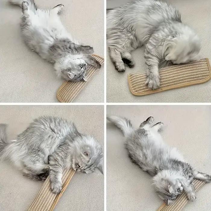 Coussin de jeu et griffoir pour chat pour le jeu individuel et l'interaction intime