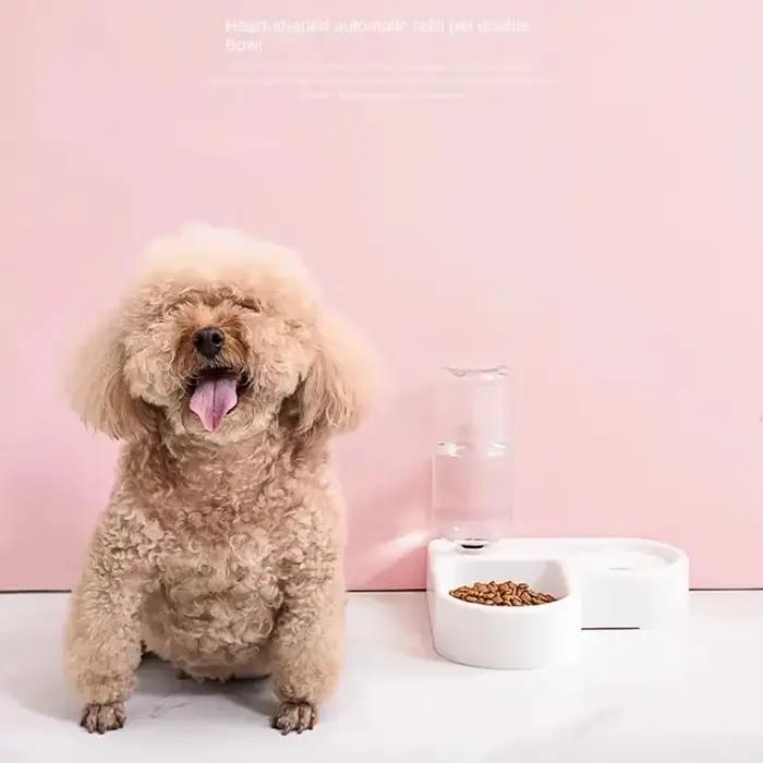 Bol pour chat et bol pour chien