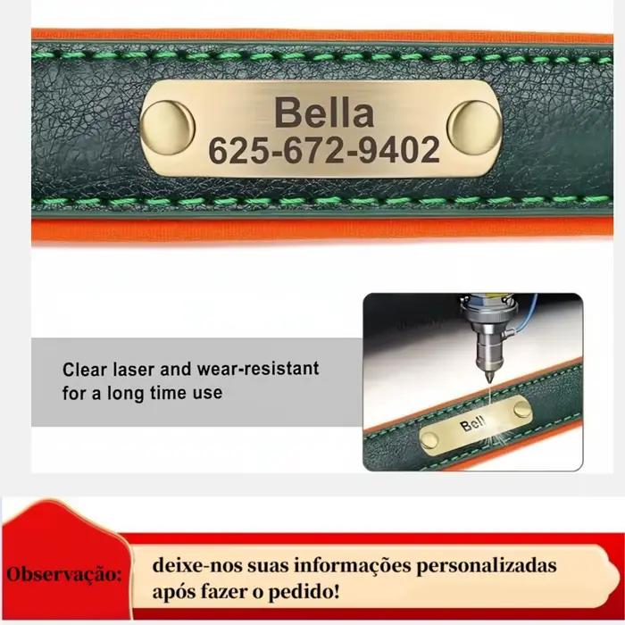 Collier pour chien personnalisé en cuir avec plaque d'identification