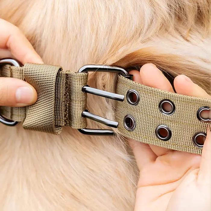 Collier militaire réglable pour chien