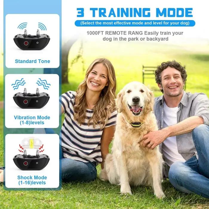 Collier d'entraînement pour chien de compagnie