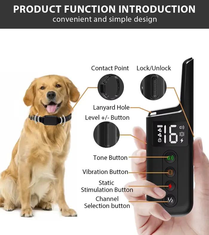 Nouveau collier de dressage pour chien