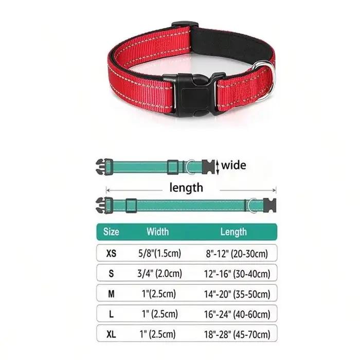 Collier réfléchissant pour chien