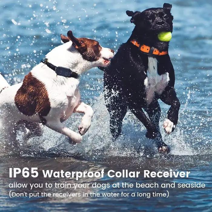 Collier Électrique Anti-Aboiement pour Chien