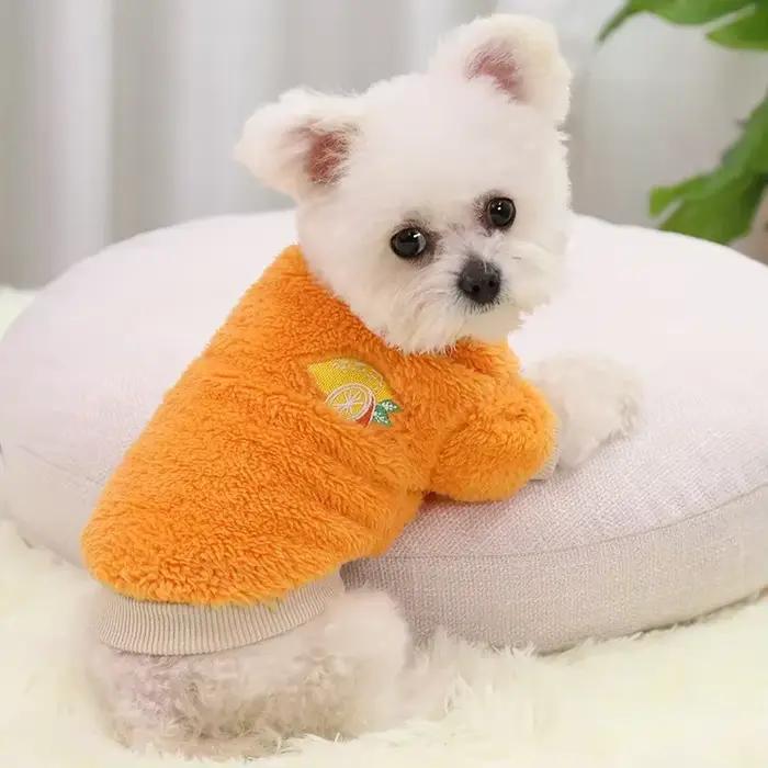 Vêtements pour chiens de compagnie pour petits chiens